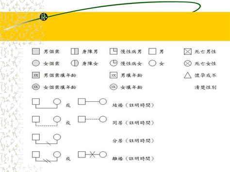 家庭關係圖畫法|附免費範本的免費家系圖製作工具